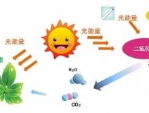 家中甲醛超標(biāo)，什么才是甲醛治理的正確姿勢(shì)？