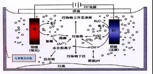 我買了一個甲醛檢測儀，吹口氣后發現原來我才是“地表最強”污染源！